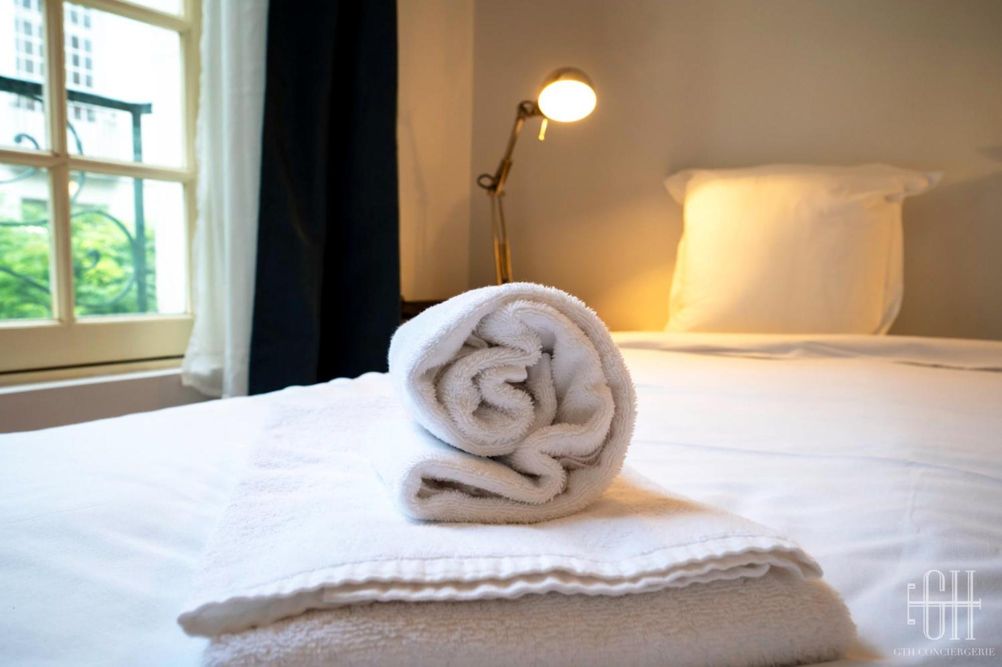 Le Briconnet / Proche Plumereau Apartment Tours Luaran gambar