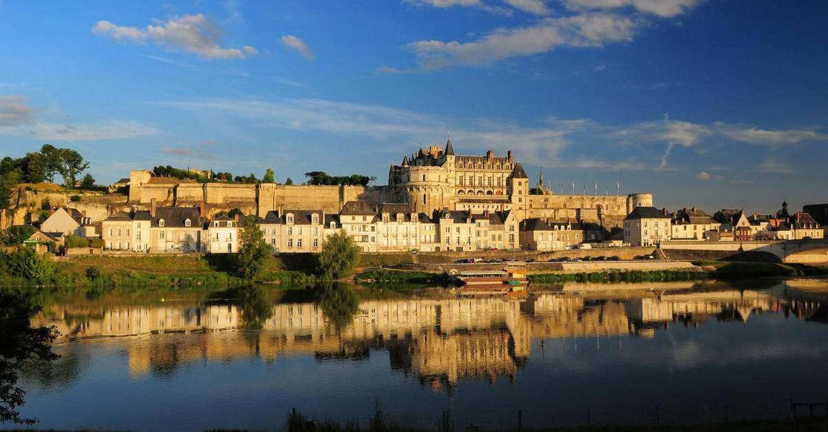 Le Briconnet / Proche Plumereau Apartment Tours Luaran gambar